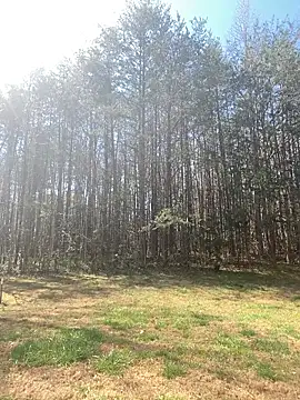 CoCoGoddess_'s Live XXX Chat