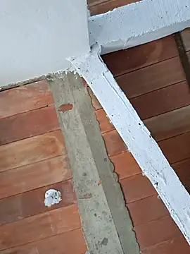 Cataleya_ja élő XXX-chatje