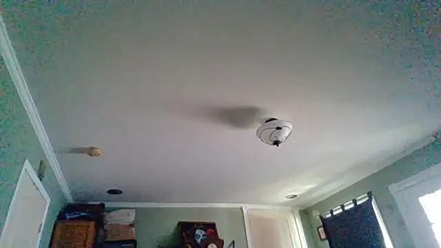 Pokazy przed kamerką – ThatPlatinumD