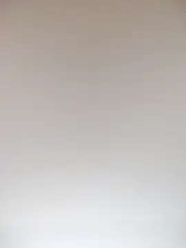 TheDime 라이브 XXX 채팅