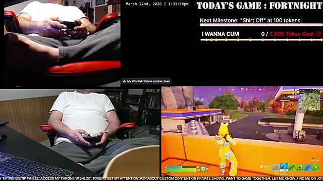 DeanonCam Show in webcam