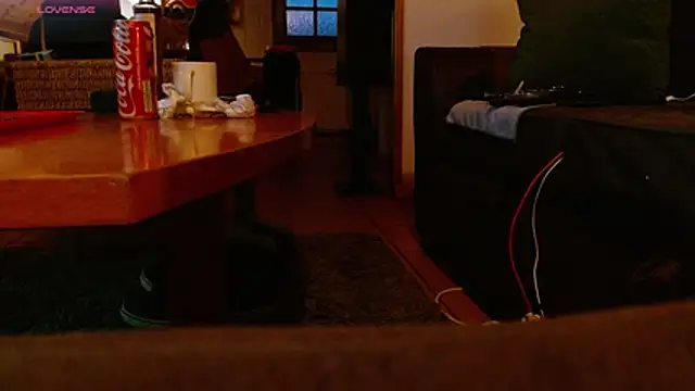 Show Webcam de Vrenico-SC