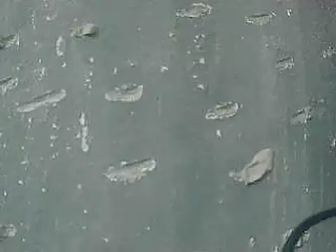 chanellyrikin Webbikameraesitys