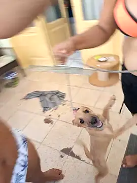 wakahoe's Live XXX Chat