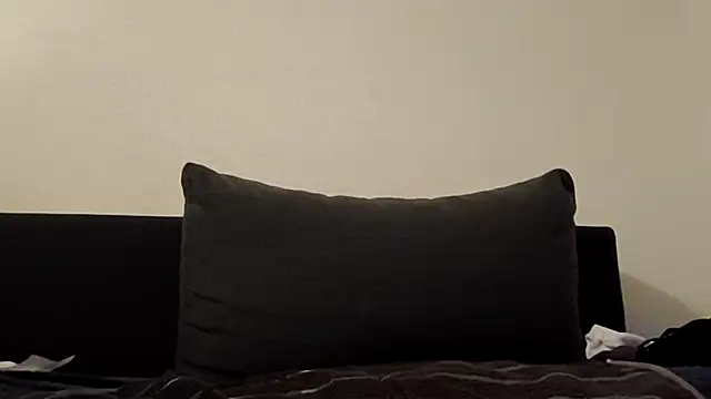 HandSom3Guy Show in webcam