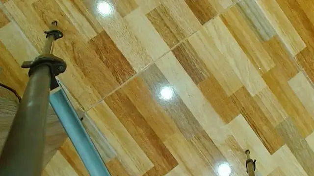 Show de big--boss na webcam