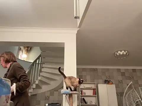 angelicfenix: απευθείας συνομιλία ΧΧΧ