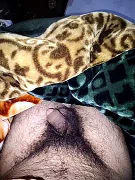 aman4404 Live XXX-chat