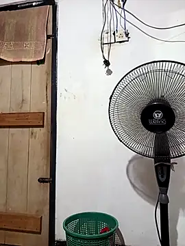 BabyHansiのウェブカメラショー