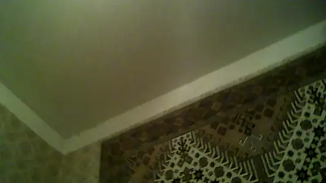 FayInessaKiss Live XXX-Chat