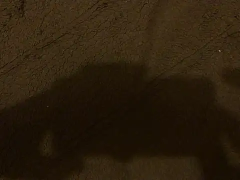 Chat +18 de omonaka ao vivo