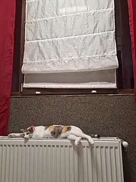 AllexyAle's Live XXX Chat