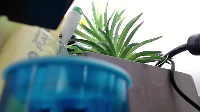 Niky_777's Live XXX Chat