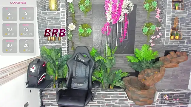 Show webcam de Rpoolrboy