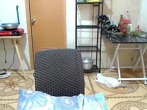 twink_asianbunny 在線直播表演