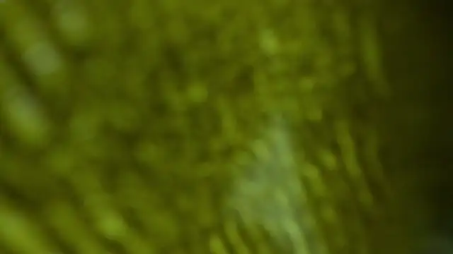 Show de Pamela_george_hot69 na webcam