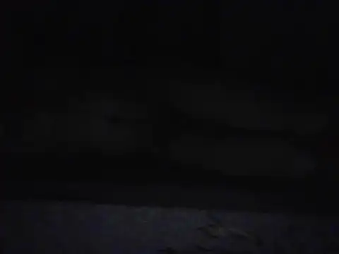 Chatroom XXX en direct de Desi_Rider_Aadi