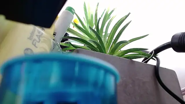 Niky_777 élő XXX-chatje