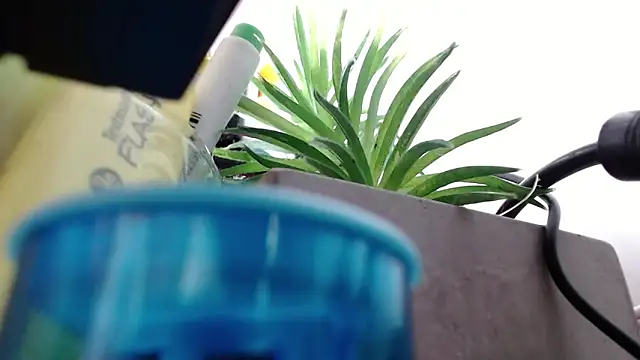 Niky_777: απευθείας συνομιλία ΧΧΧ