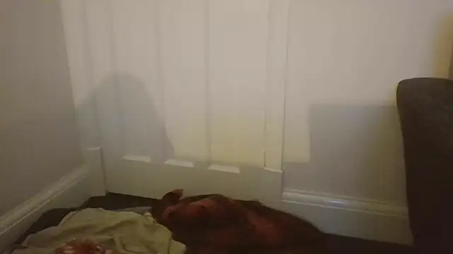 SportyBella_91: απευθείας συνομιλία ΧΧΧ