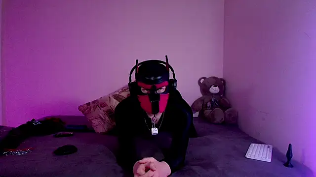 Pokazy przed kamerką – K9_GoodBoy