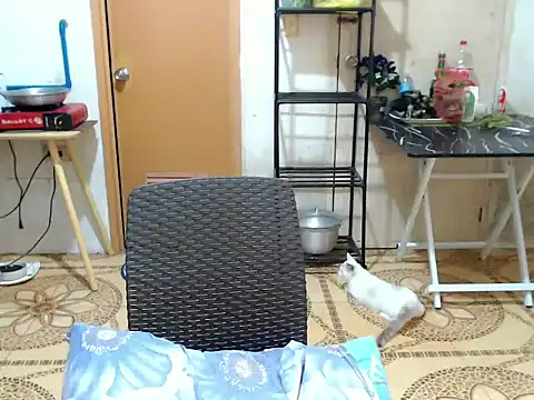 twink_asianbunny Live XXX-Chat