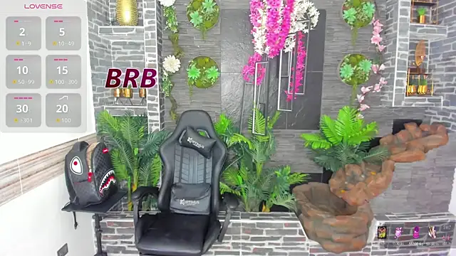 Show webcam de Rpoolrboy