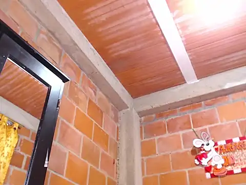 Show de webcam de vergon3624