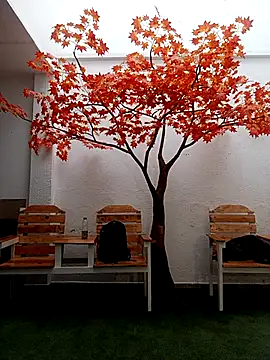 عرض كام Dante_Knox