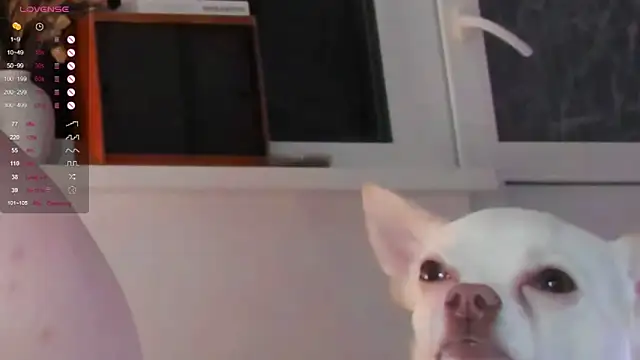 Chat XXX Live _CuteAsFuck_