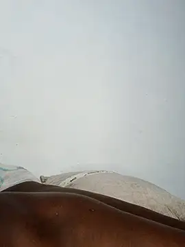 Bulletact live XXX chat