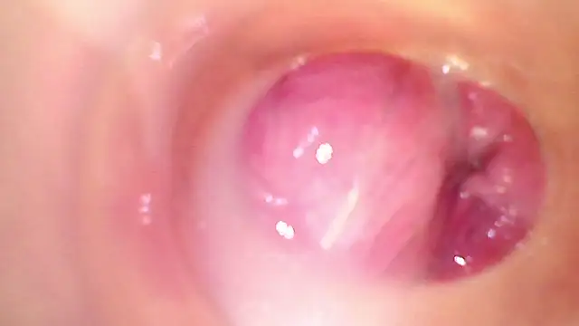 دردشة karol_kane الجنسية المباشرة