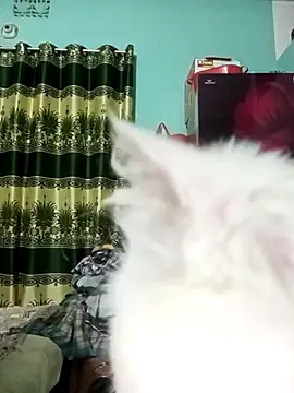 Sumi-roy Webcam-Show