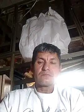 عرض كام TattyFoxglove