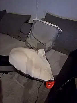 Show Webcam de Da_riva