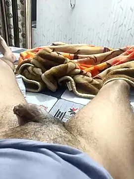 Show de webcam de 7-inch-bull