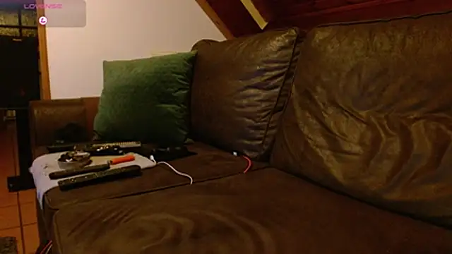 Vrenico-SC Show Webcam