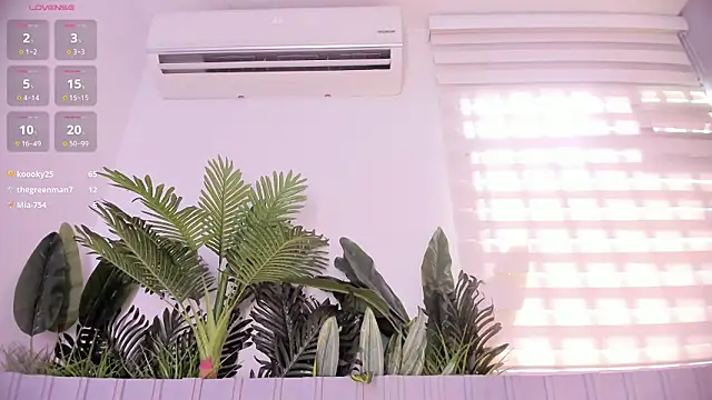 Chat +18 de stephanymonroe ao vivo