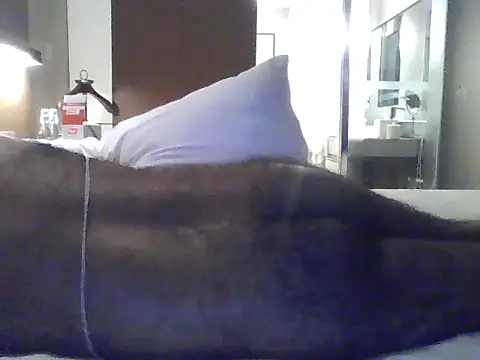 Show webcam de rarindam17