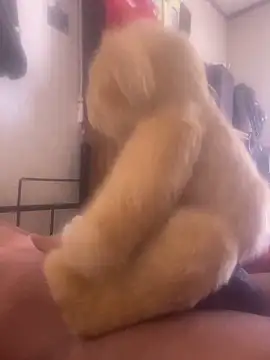 Bigcock127 Show in webcam