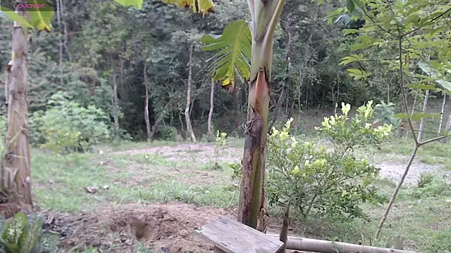 esmeralda_li – Live XXX-chat