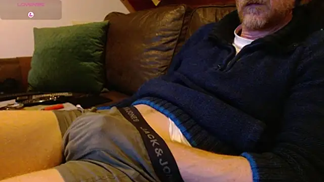 Vrenico-SC 网络视讯表演