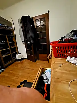 Stinglesのウェブカメラショー