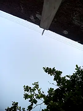 Show Webcam de spittingpig1