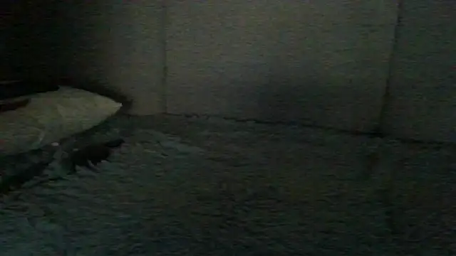 Chichoplus1n Webbikameraesitys