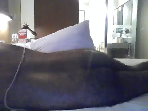 rarindam17 Live XXX-Chat