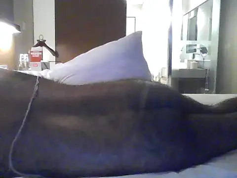 rarindam17 网络视讯表演