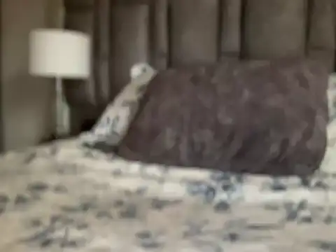 alexandergrey760886 Webcam show