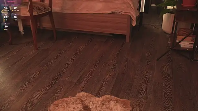 your_lunalike Adlı Modelin Canlı XXX Sohbeti