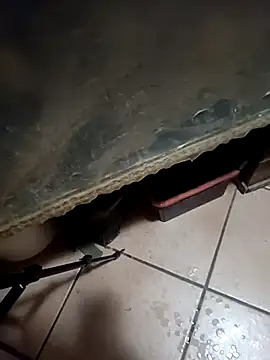 Chat +18 de common47 ao vivo